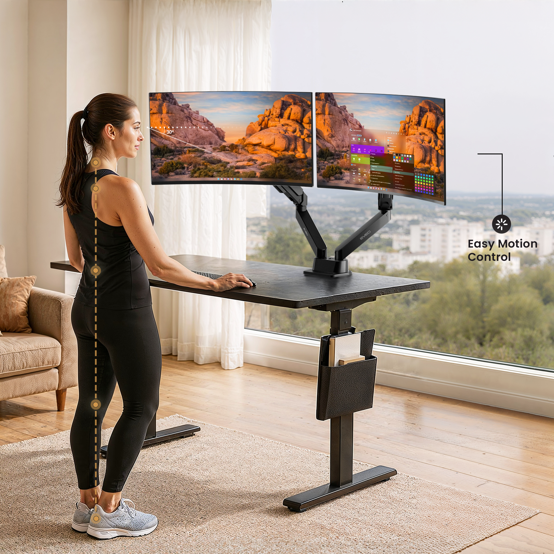 Dual momitor mount - EVEO TV