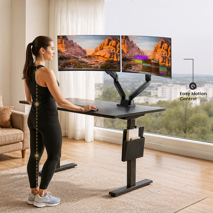 Dual momitor mount - EVEO TV
